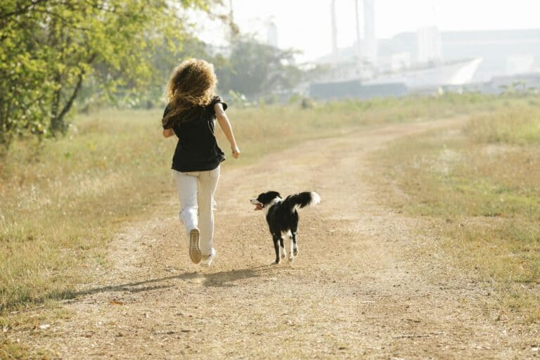 Unrecognizable sportswoman running with Border Collie on path in park